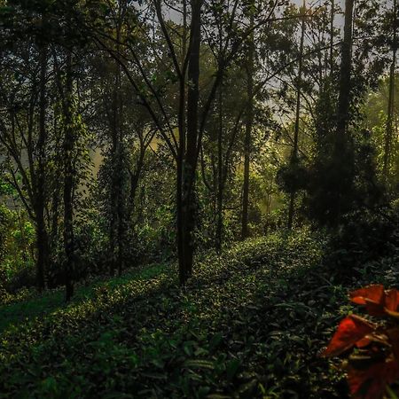 Southern Panorama Indriya Resorts & Spa Munnar Ngoại thất bức ảnh