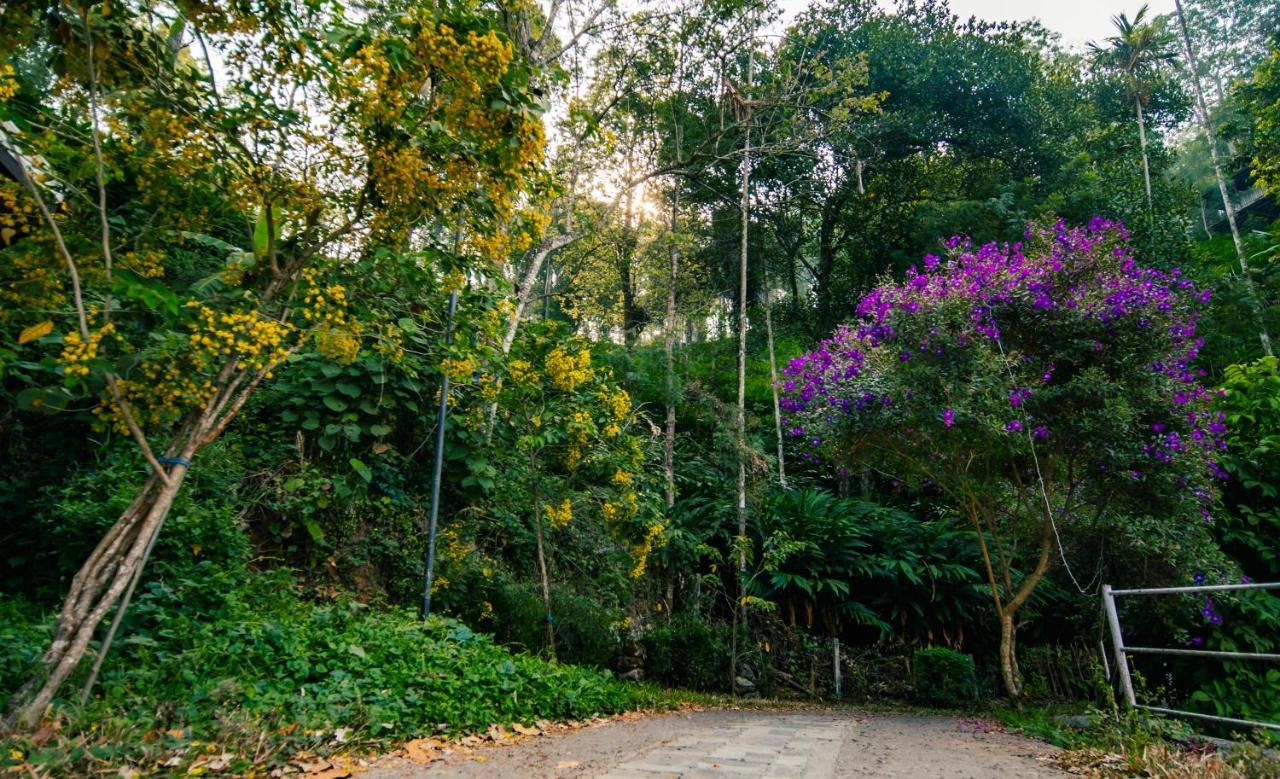 Southern Panorama Indriya Resorts & Spa Munnar Ngoại thất bức ảnh