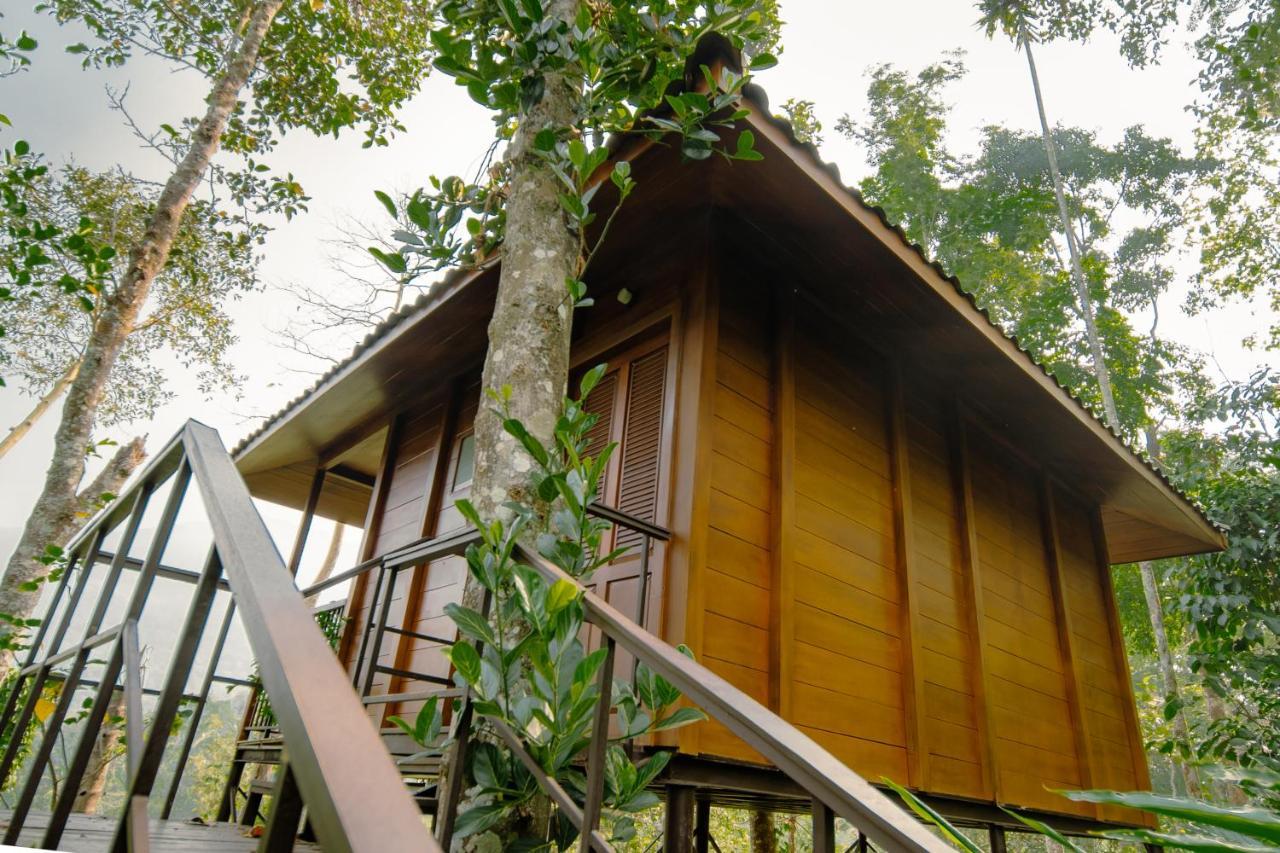 Southern Panorama Indriya Resorts & Spa Munnar Ngoại thất bức ảnh
