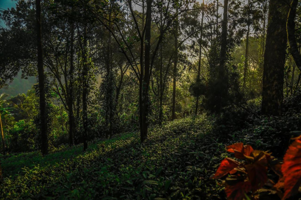 Southern Panorama Indriya Resorts & Spa Munnar Ngoại thất bức ảnh