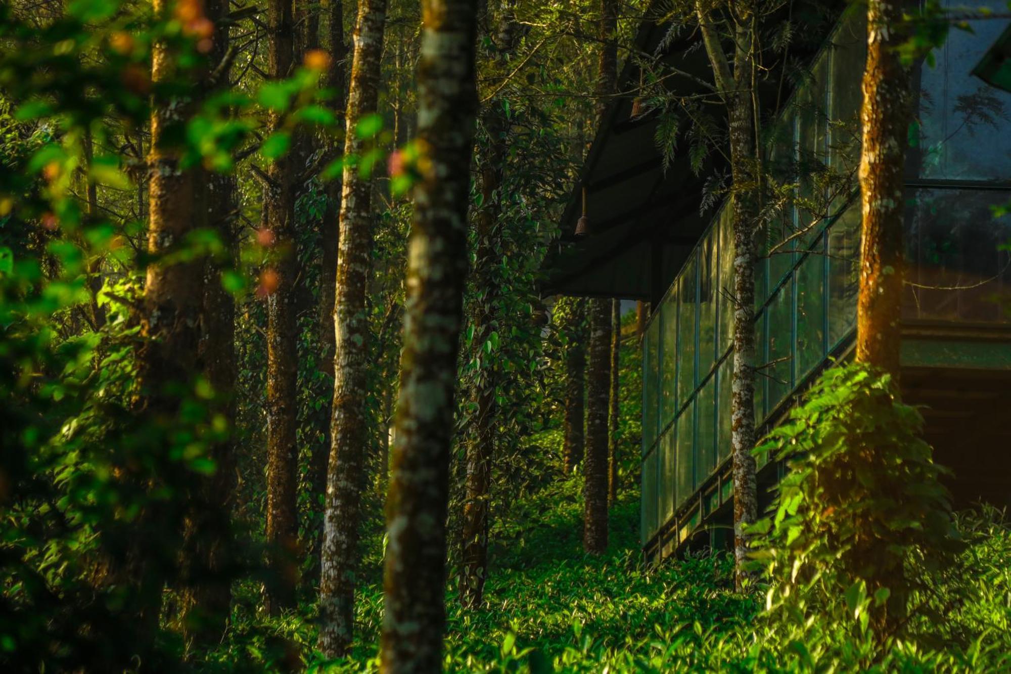 Southern Panorama Indriya Resorts & Spa Munnar Ngoại thất bức ảnh